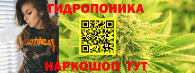 jwh Краснодар