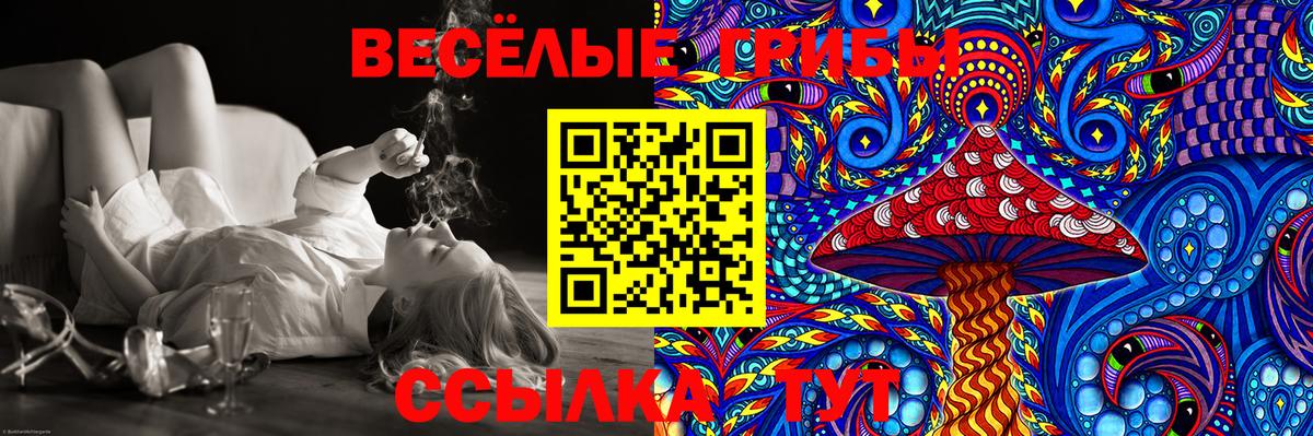 Псилоцибиновые грибы ЛСД  Галлюциногенные грибы Magic Shrooms  Междуреченск 