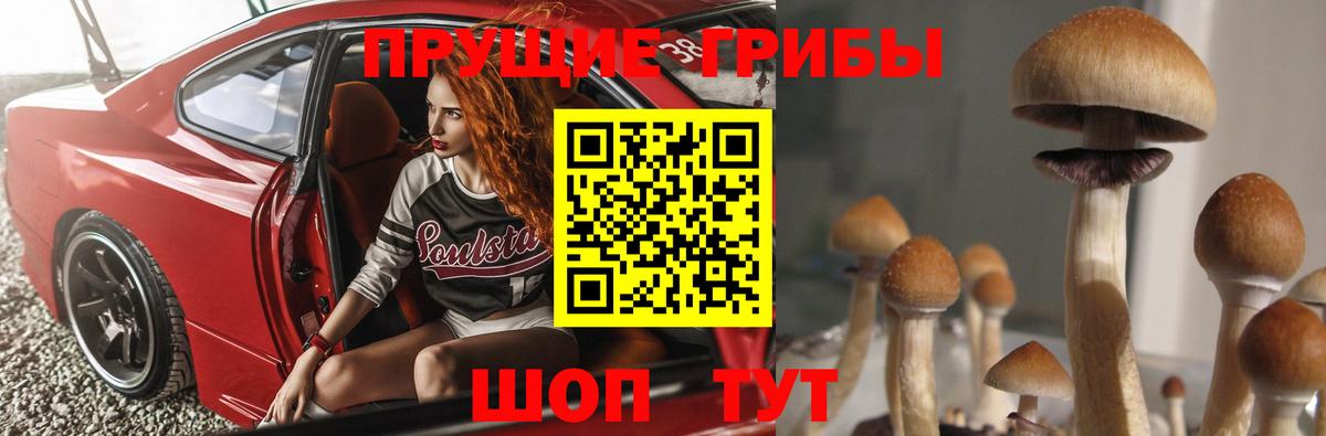 Псилоцибиновые грибы Cubensis  Вход с VPN  Междуреченск  Псилоцибиновые грибы Psilocybine cubensis 